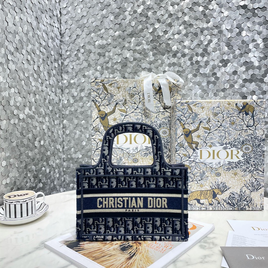 디올 TOTE BOOK MINI 여자핸드백
