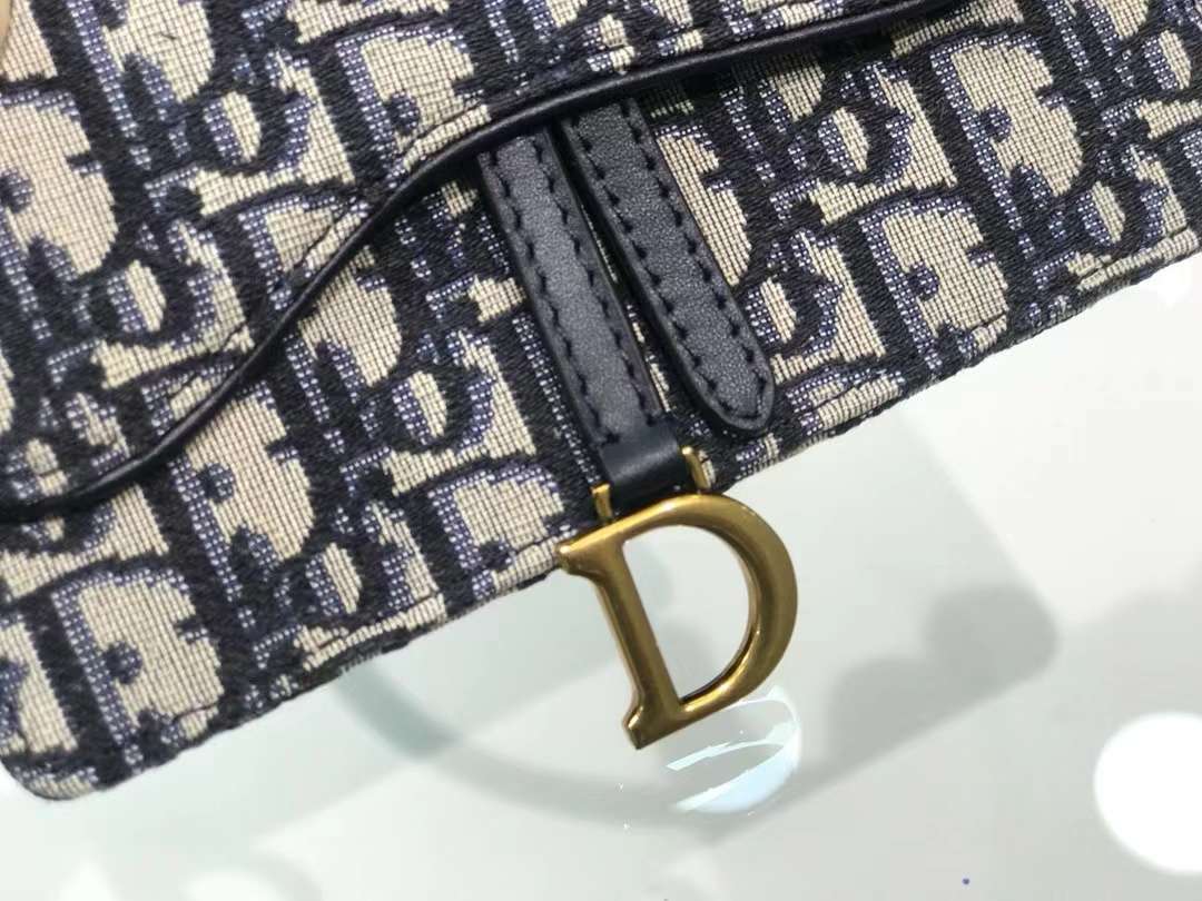 디올 오블리크 새들 여성 벨트백