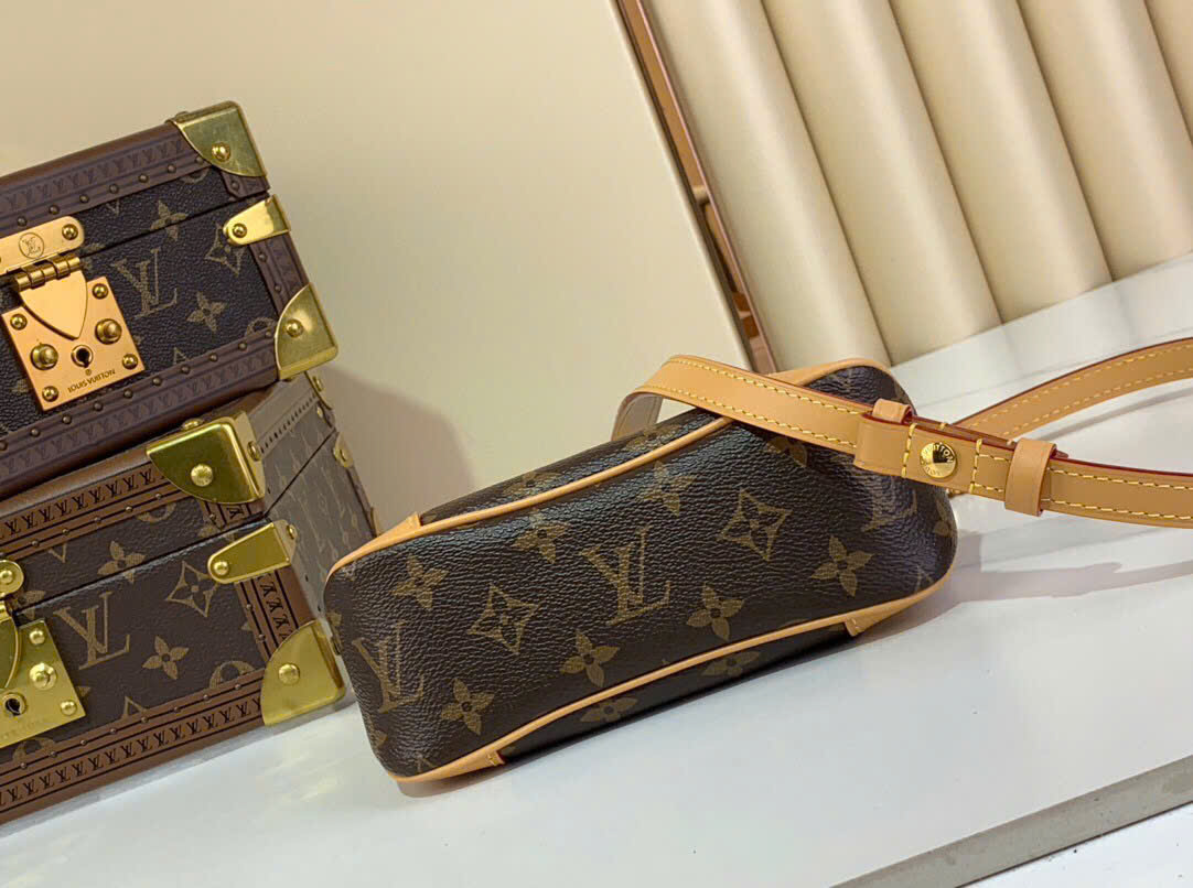 루이비통 볼로뉴 모노그램 내츄럴 여성 가방