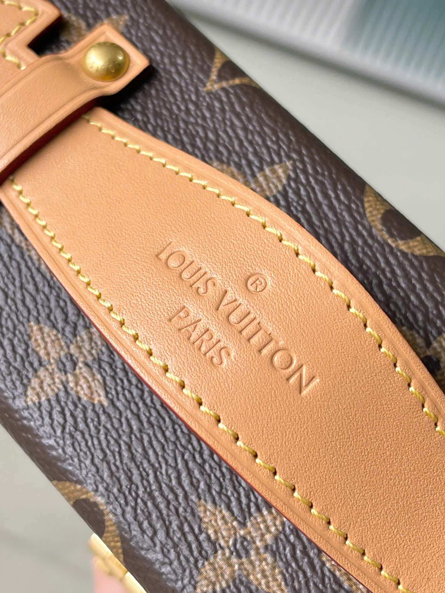 루이비통 Montsouris Trunk St 여성 가방